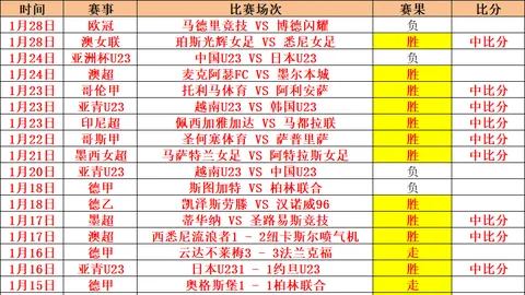 俄罗斯与土耳其联手竞逐2028或2032年欧洲杯主办权