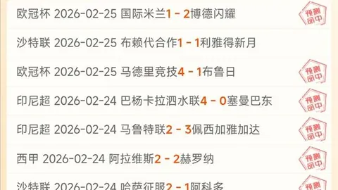 博扬赛季报销，脚部手术将至，赛季剩余赛事告别