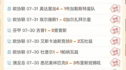 2026年解放者杯战绩解析：6胜5负，数据与状态之谜
